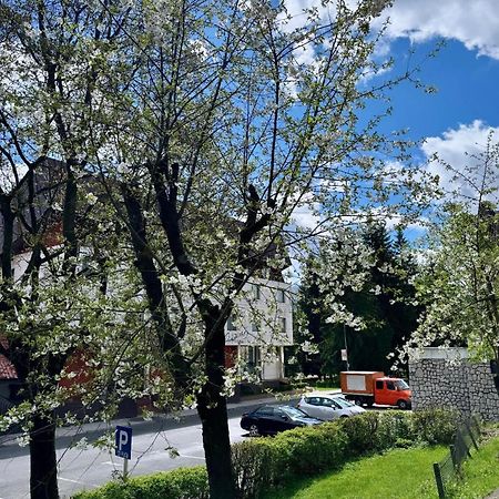 Lv Luxury Apart - One Minute Away From Train Station Predeal Exterior foto